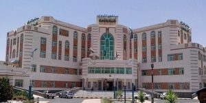 rumah sakit zayed
